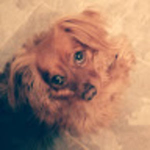 Meet your Posher, Sergio